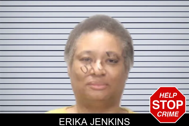 Erika Jenkins mugshot