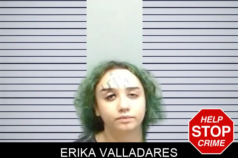 Erika Valladares mugshot – Fulton County , Georgia Erika Valladares mugshot