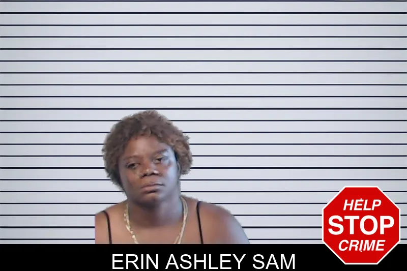 Erin Ashley Sam mugshot