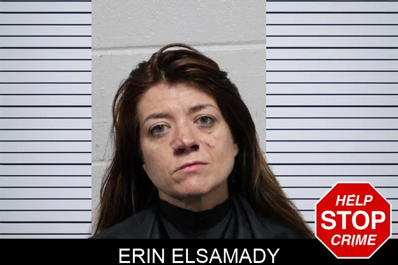 Erin Elsamady mugshot