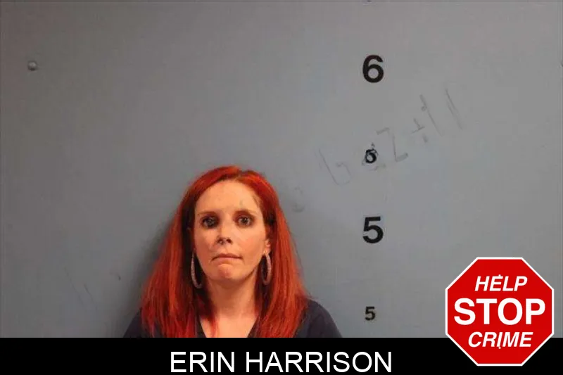 Erin Harrison mugshot