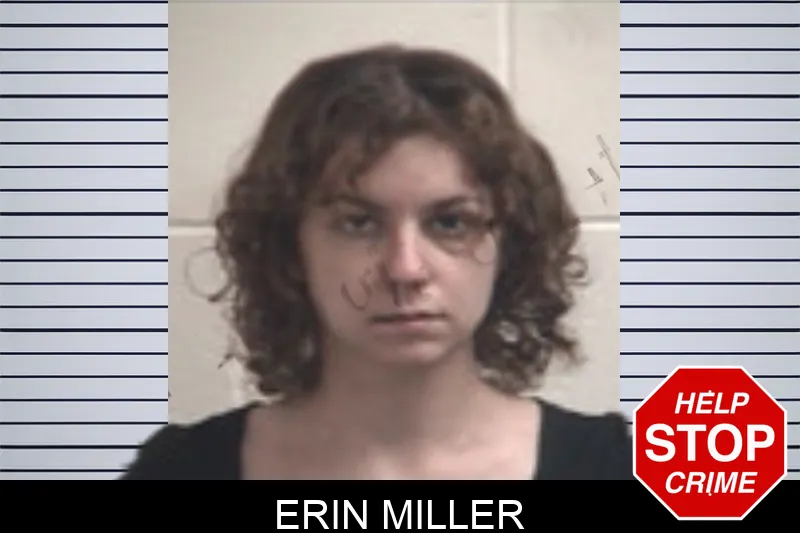 Erin Miller mugshot – Henry County , Georgia Erin Miller mugshot