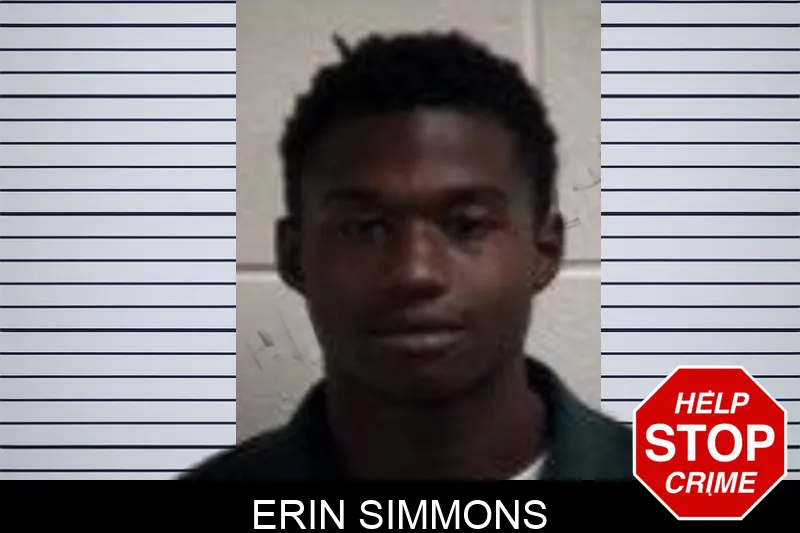 Erin Simmons mugshot