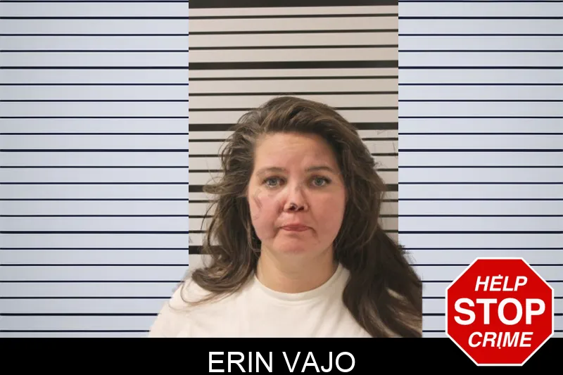 Erin Vajo mugshot – Toombs County , Georgia Erin Vajo mugshot