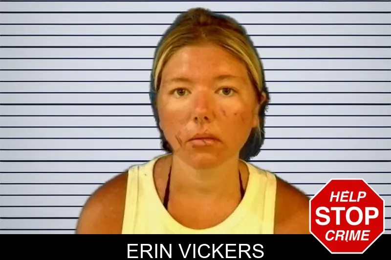 Erin Vickers mugshot