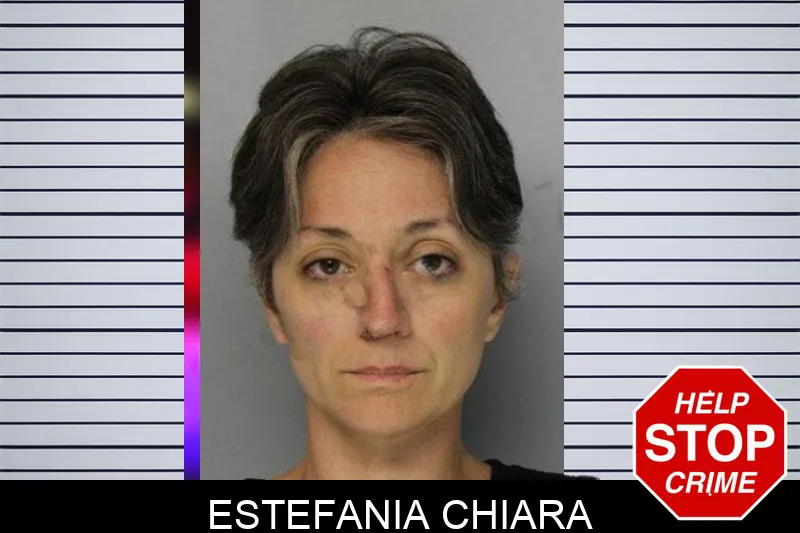 Estefania Chiara mugshot – Hall County , Georgia Estefania Chiara mugshot