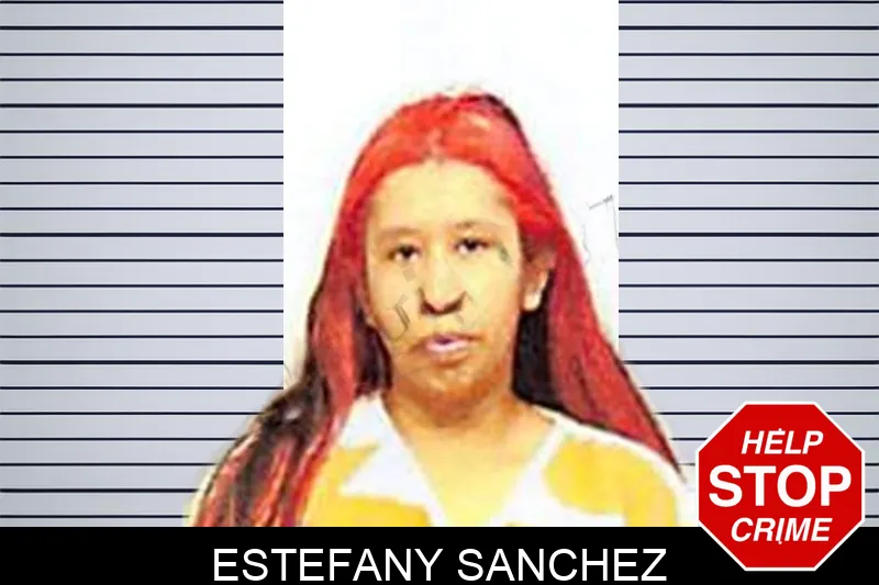 Estefany Sanchez mugshot – Bartow County , Georgia Estefany Sanchez mugshot