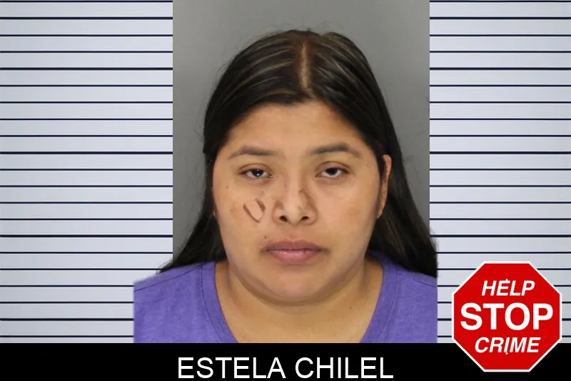 Estela Chilel mugshot