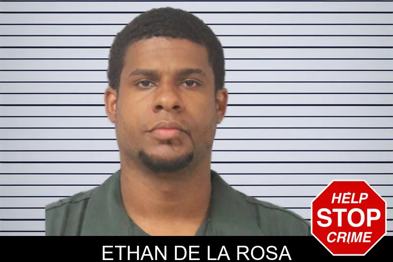 Ethan De La Rosa mugshot