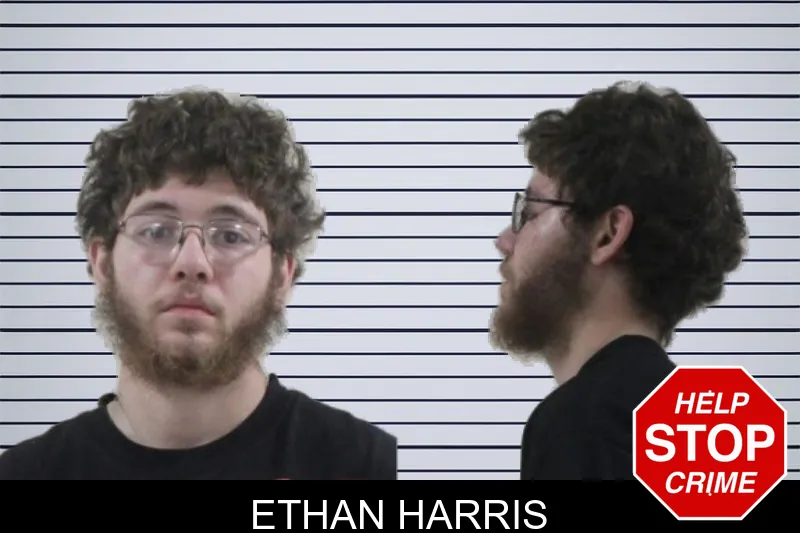 Ethan Harris mugshot – Houston County , Georgia Ethan Harris mugshot