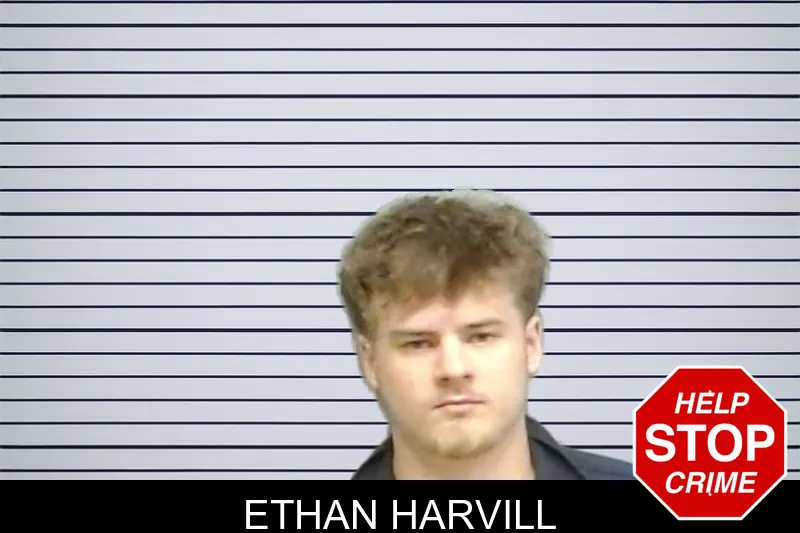 Ethan Harvill mugshot – Fulton County , Georgia Ethan Harvill mugshot