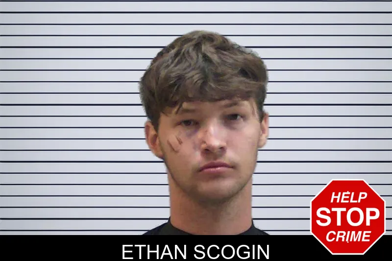 Ethan Scogin mugshot
