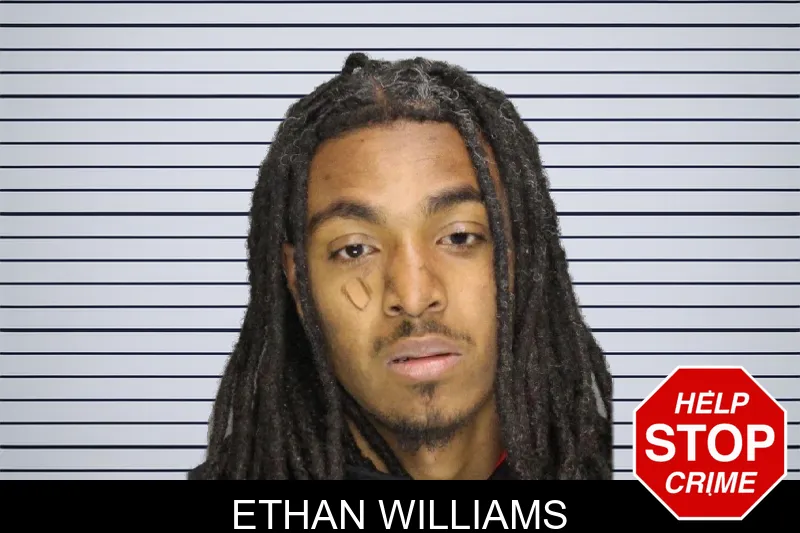 Ethan Williams mugshot