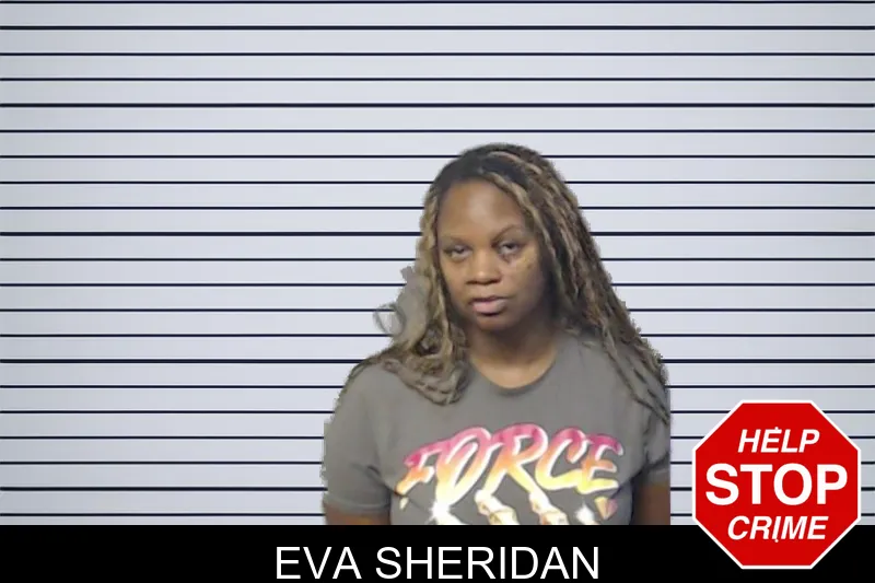 Eva Sheridan mugshot – DeKalb County , Georgia Eva Sheridan mugshot