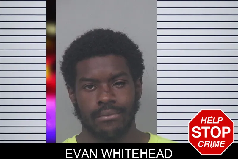 Evan Whitehead mugshot