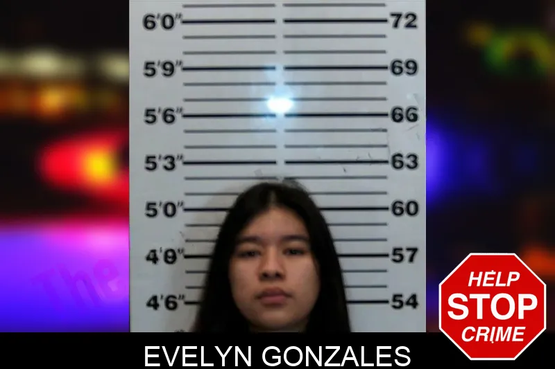 Evelyn Gonzales mugshot