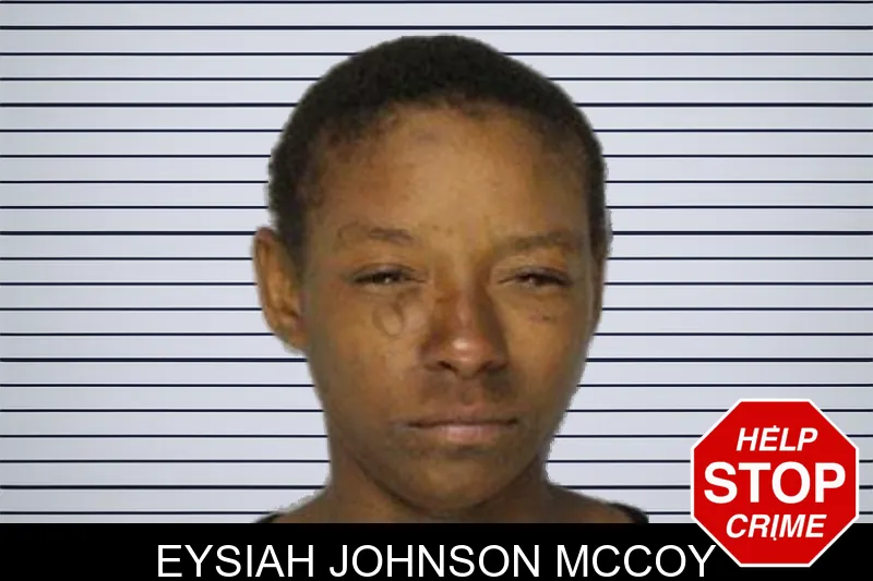 Eysiah Johnson McCoy mugshot – Hall County , Georgia Eysiah Johnson McCoy mugshot