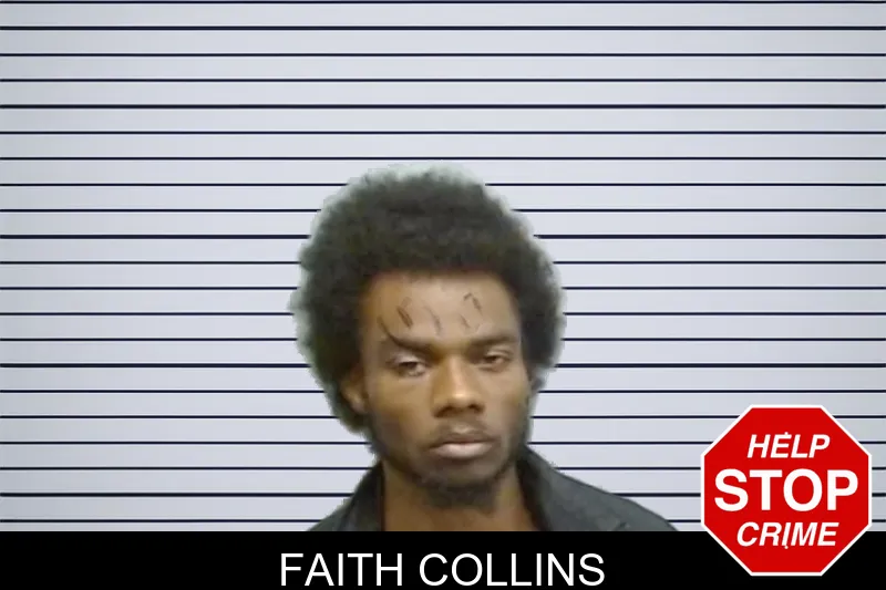 Faith Collins mugshot