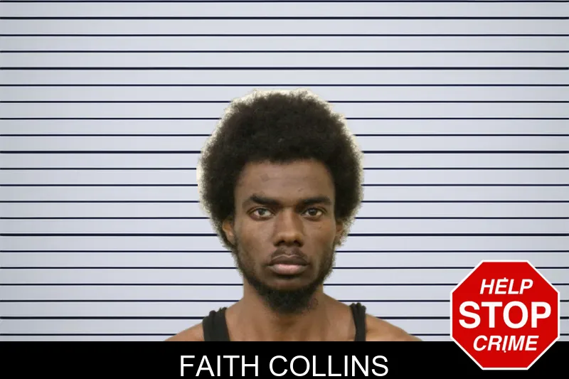 Faith Collins mugshot – Bulloch County , Georgia Faith Collins mugshot