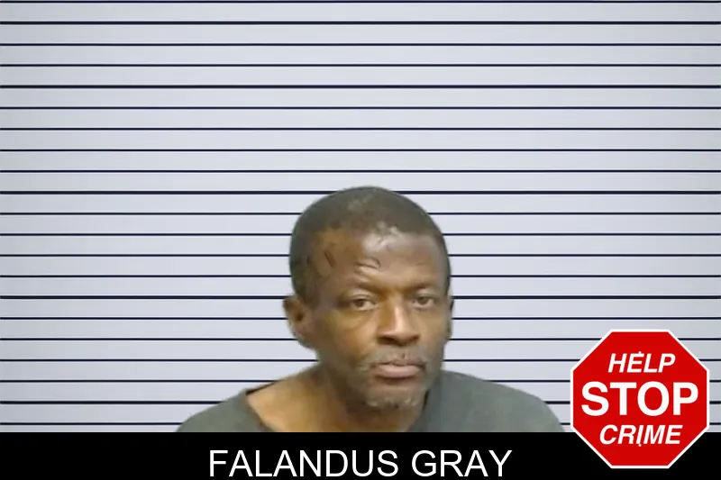 Falandus Gray mugshot