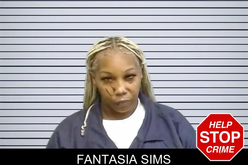 Fantasia Sims mugshot