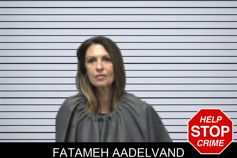 Fatameh Aadelvand mugshot