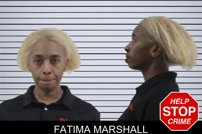 Fatima Marshall mugshot – Houston County , Georgia Fatima Marshall mugshot