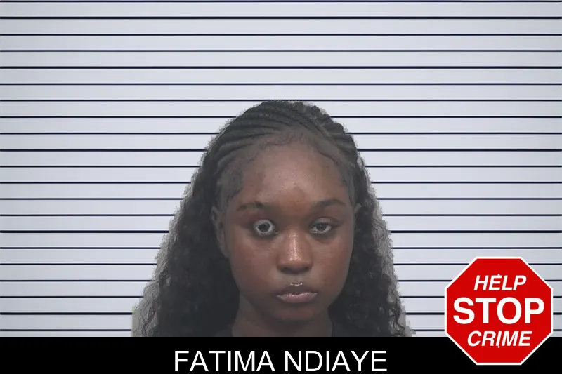 Fatima Ndiaye mugshot – Gwinnett County , Georgia Fatima Ndiaye mugshot