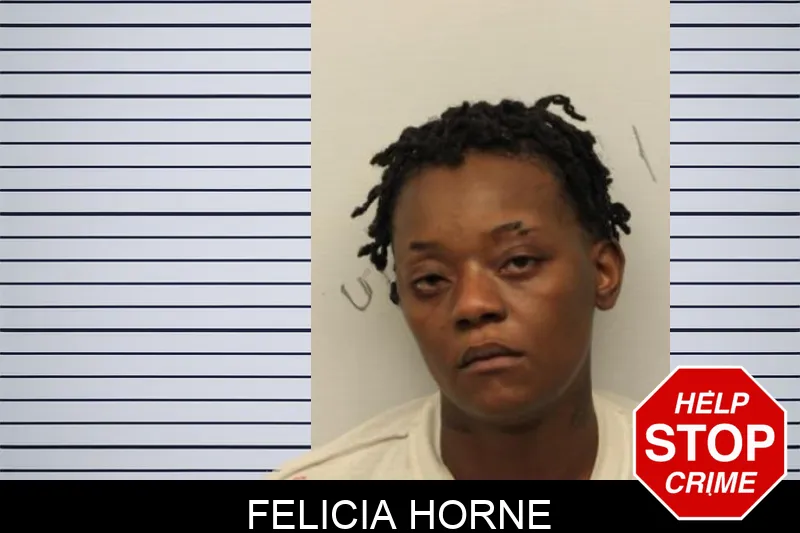 Felicia Horne mugshot