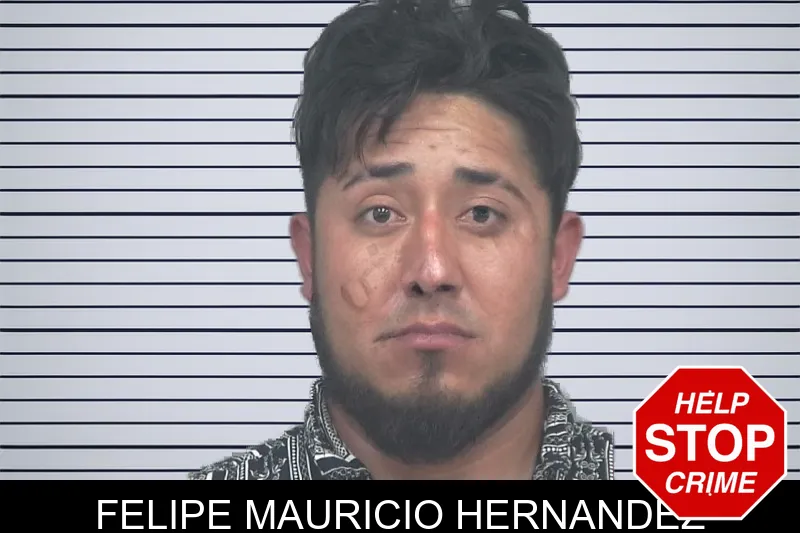 Felipe Mauricio Hernandez mugshot