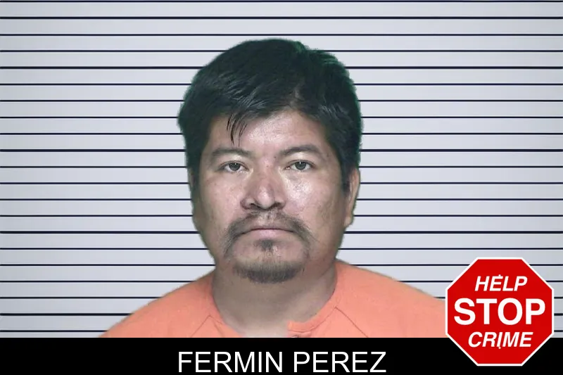 Fermin Perez mugshot
