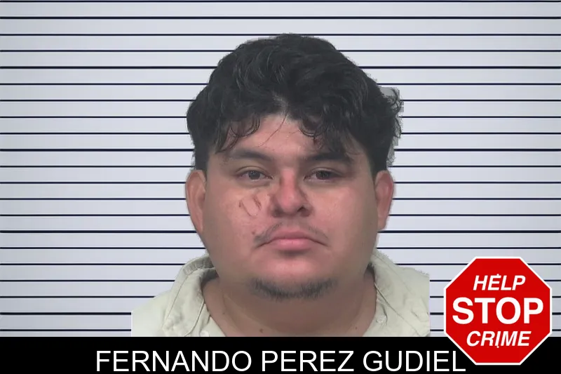 Fernando Perez Gudiel mugshot