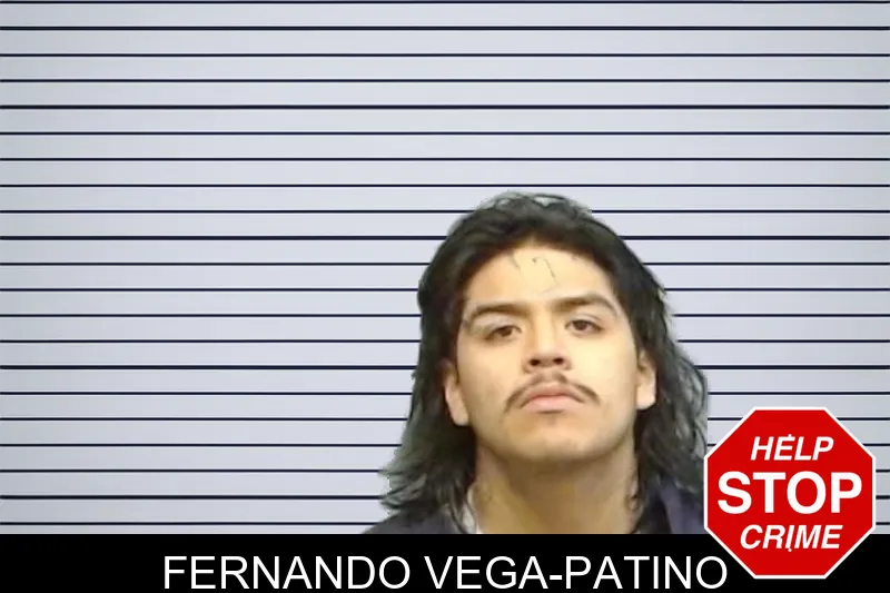 Fernando Vega-Patino mugshot – Fulton County , Georgia Fernando Vega-Patino mugshot