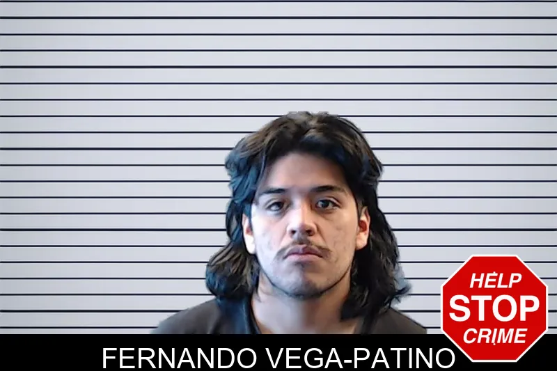 Fernando Vega-Patino mugshot