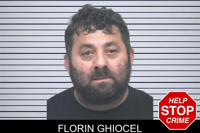 Florin Ghiocel mugshot – Gwinnett County , Georgia Florin Ghiocel mugshot