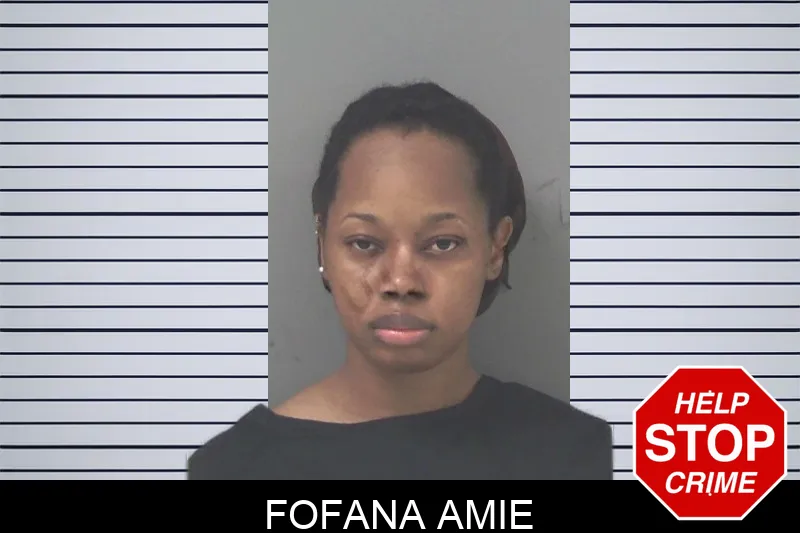 Fofana Amie mugshot – Douglas County , Georgia Fofana Amie mugshot