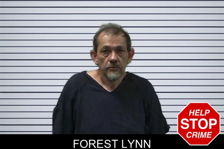 Forest Lynn