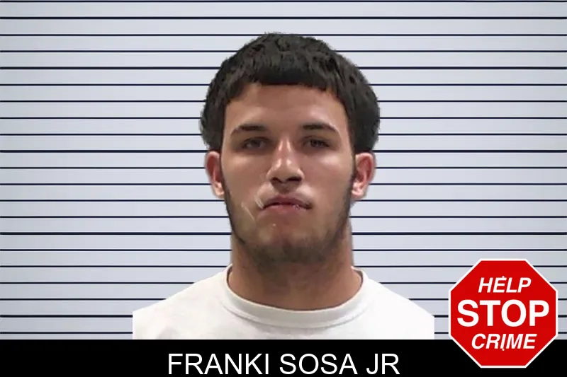 Franki Sosa Jr mugshot