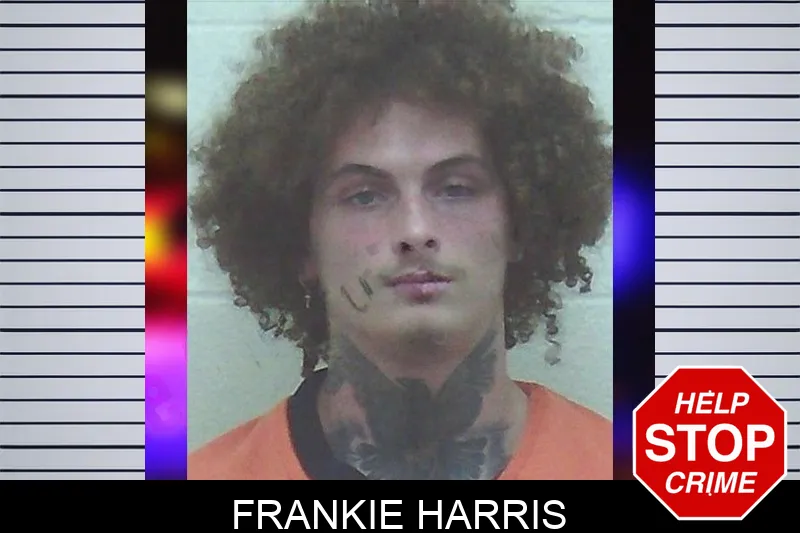 Frankie Harris mugshot