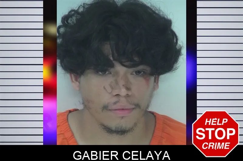 Gabier Celaya mugshot