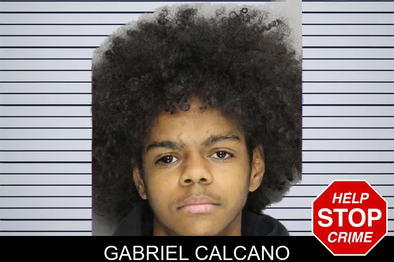 Gabriel Calcano mugshot