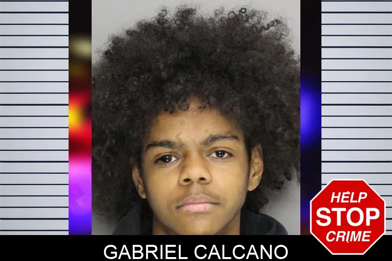Gabriel Calcano mugshot