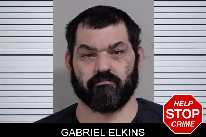 Gabriel Elkins mugshot