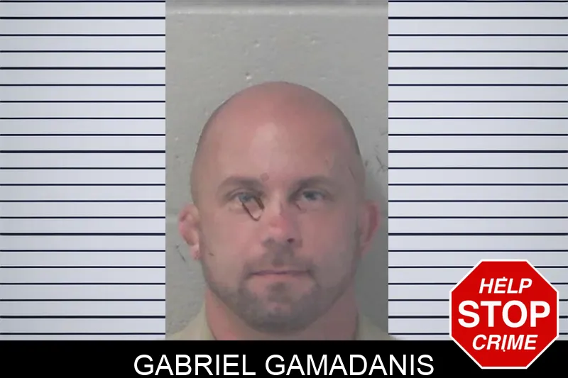 Gabriel Gamadanis mugshot
