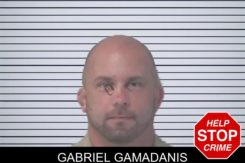 Gabriel Gamadanis mugshot
