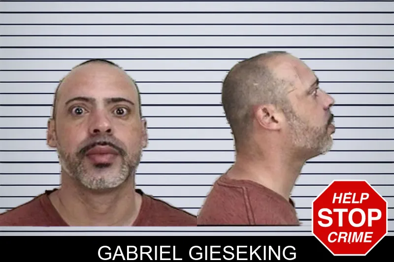 Gabriel Gieseking mugshot