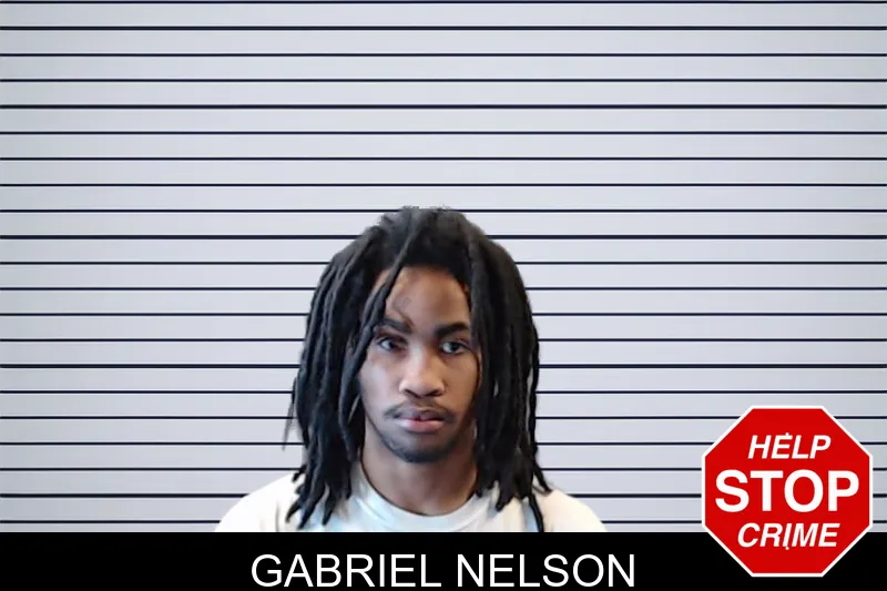 Gabriel Nelson mugshot