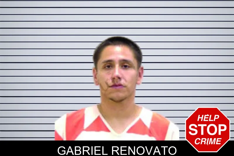 Gabriel Renovato mugshot