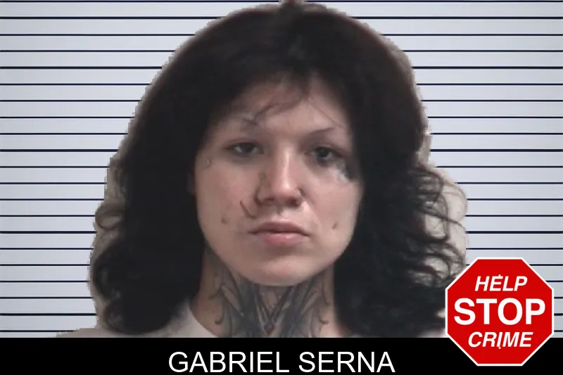 Gabriel Serna mugshot