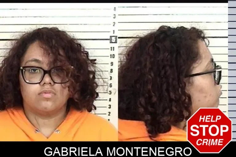 Gabriela Montenegro mugshot – Camden County , Georgia Gabriela Montenegro